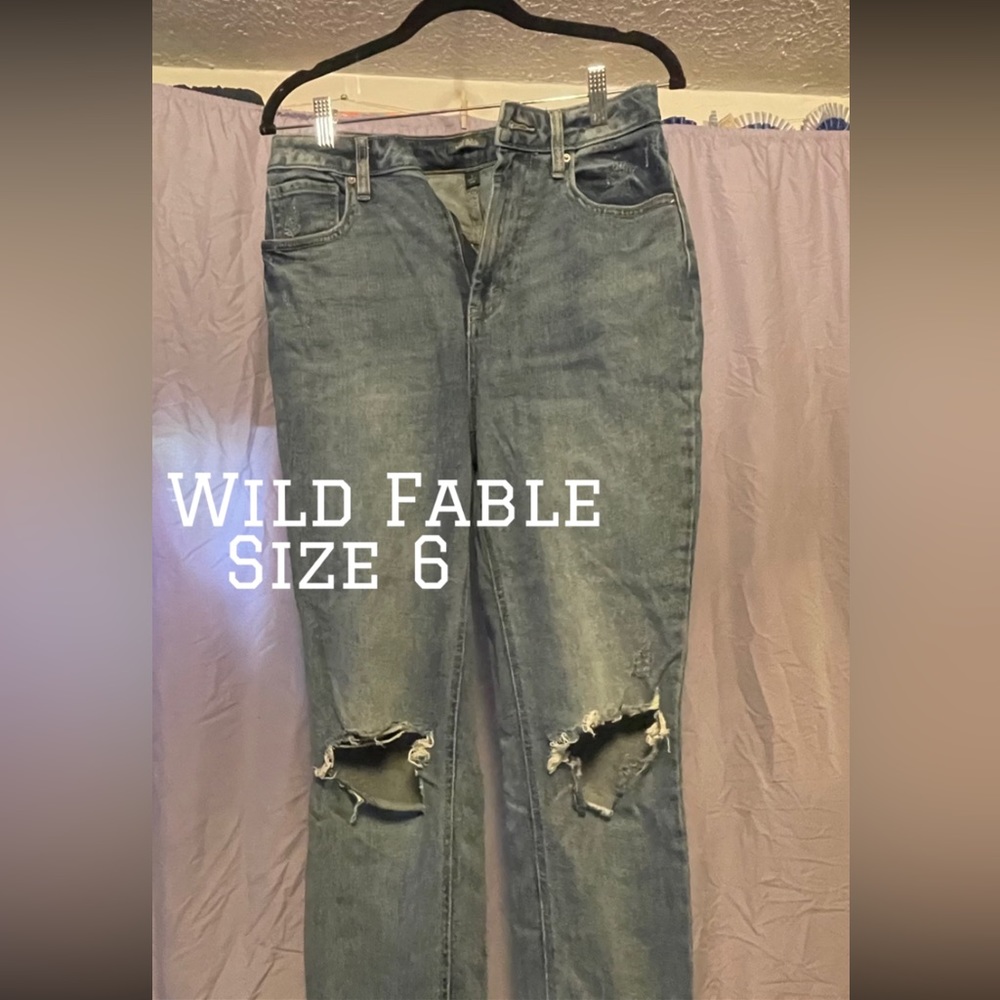 Wild Fable Jean